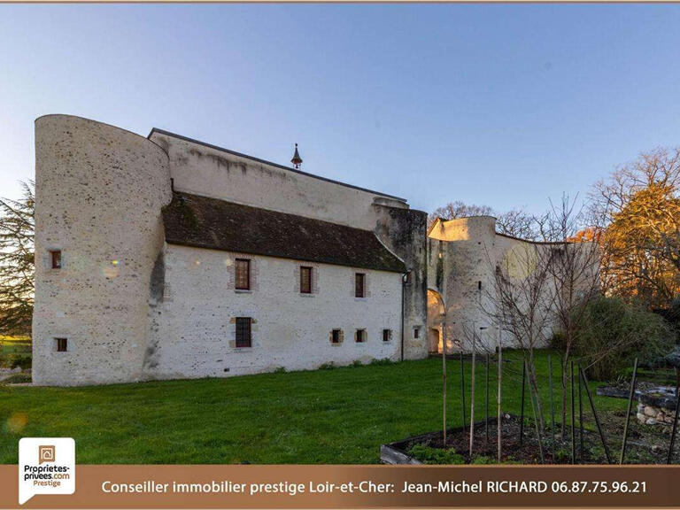 Maison Romorantin-Lanthenay - 3 chambres