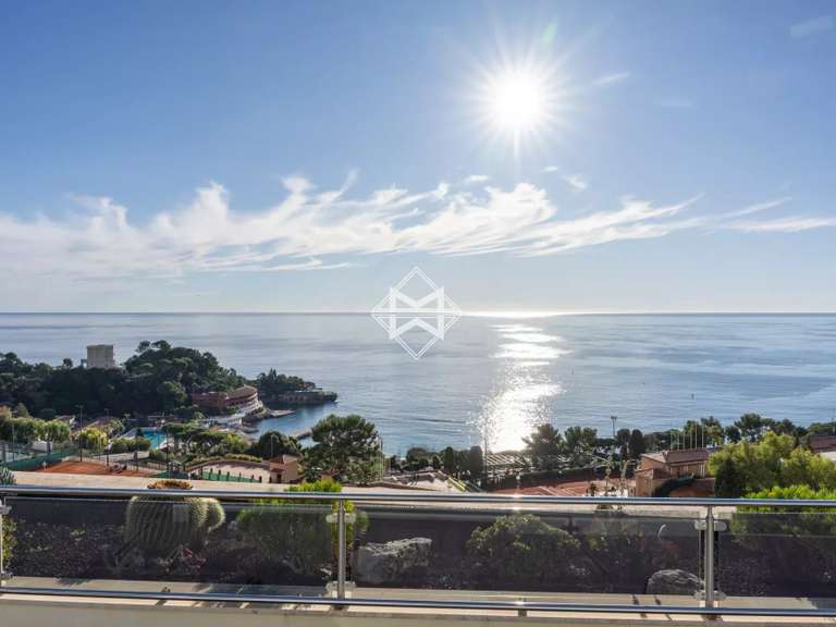 Appartement avec Vue sur mer Roquebrune-Cap-Martin - 3 chambres - 344m²