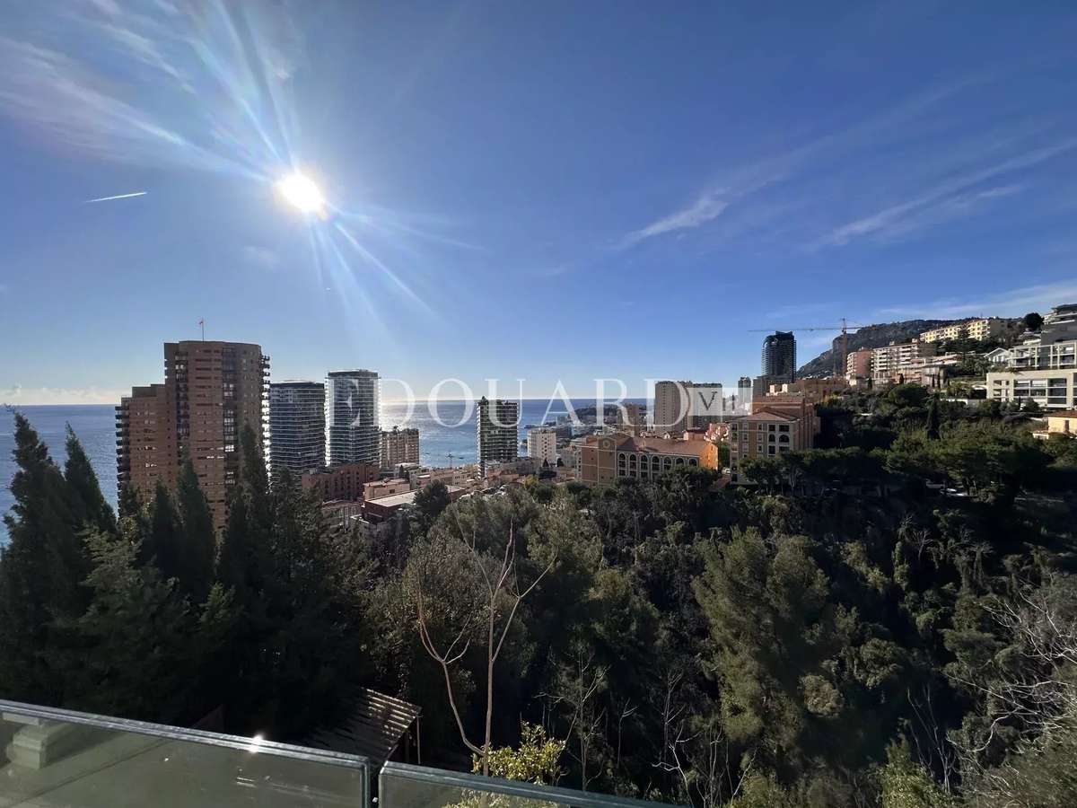 Appartement Roquebrune-Cap-Martin