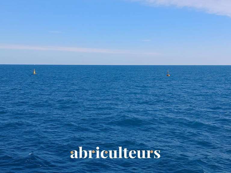 Appartement Roquebrune-Cap-Martin - 1 chambre - 50m²