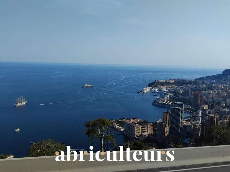 Apartment Roquebrune-Cap-Martin - 1 bedroom - 50m²