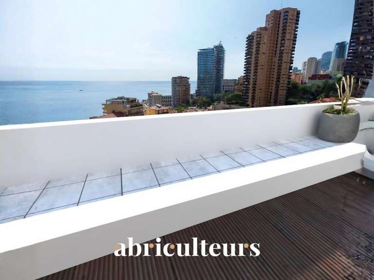 Appartement Roquebrune-Cap-Martin - 1 chambre - 50m²