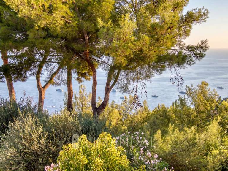 Maison avec Vue sur mer Roquebrune-Cap-Martin - 3 chambres - 145m²