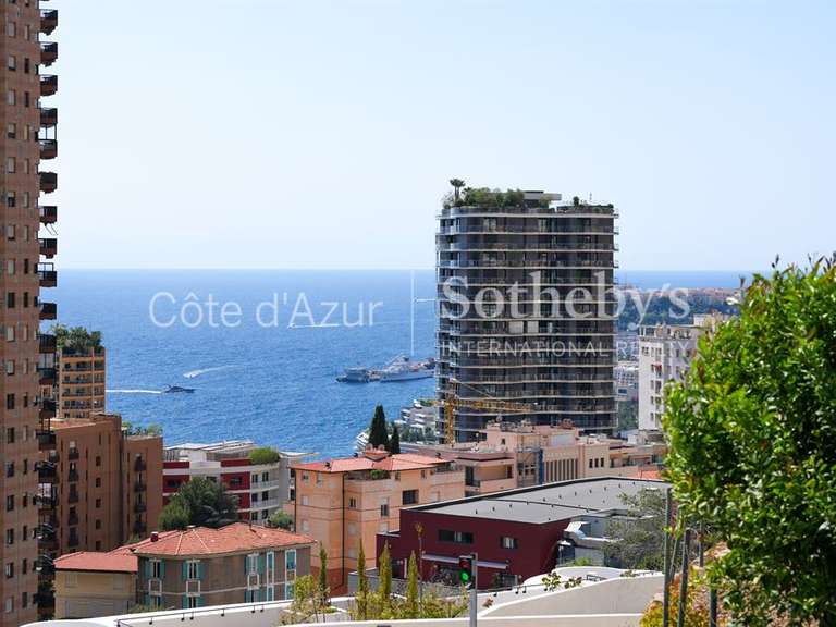 Terrain Roquebrune-Cap-Martin - 880m²