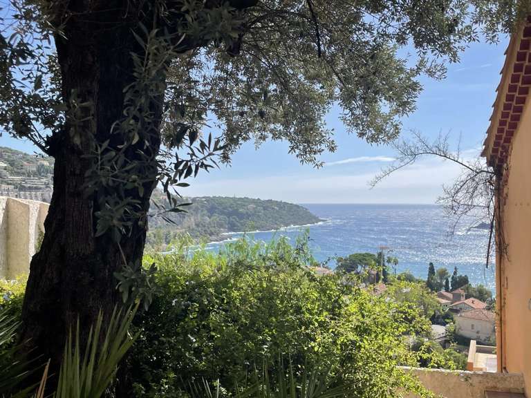 Villa avec Vue sur mer Roquebrune-Cap-Martin - 350m²