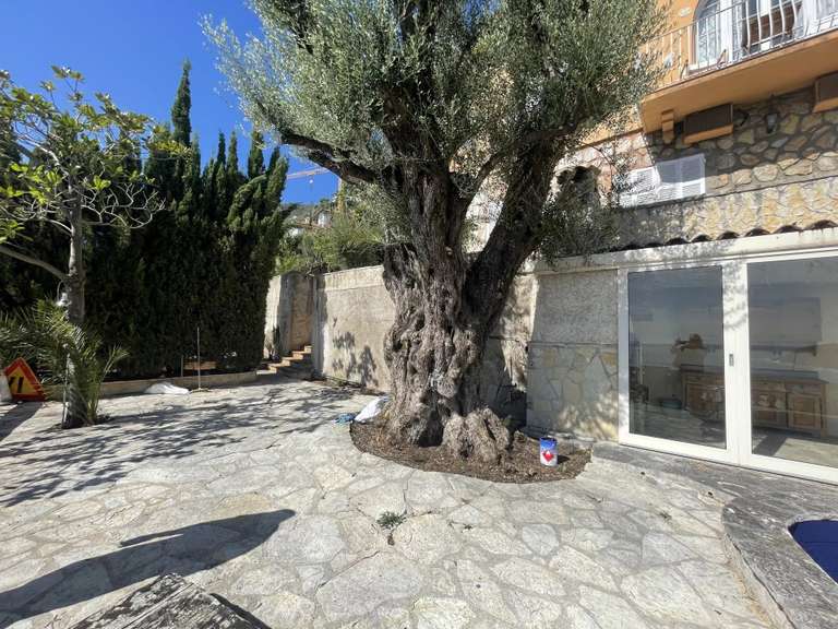 Villa avec Vue sur mer Roquebrune-Cap-Martin - 350m²