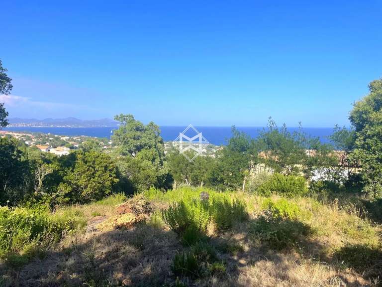 Terrain avec Vue sur mer Roquebrune-sur-Argens - 1826m²