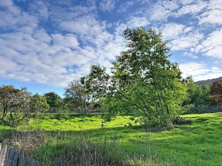 Villa Roquebrune-sur-Argens - 9 chambres - 525m²