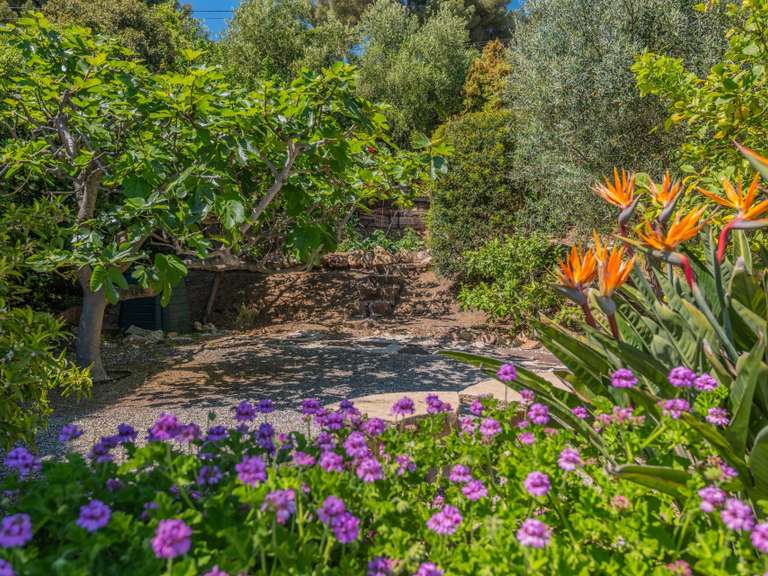 Villa avec Vue sur mer Roquebrune-sur-Argens - 3 chambres - 143m²