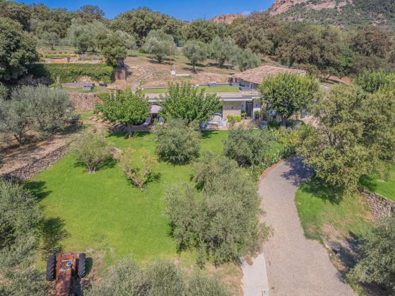 Villa Roquebrune-sur-Argens - 5 chambres - 260m²