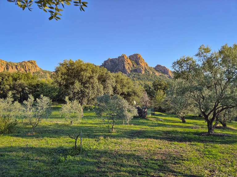 Villa Roquebrune-sur-Argens - 5 bedrooms - 260m²