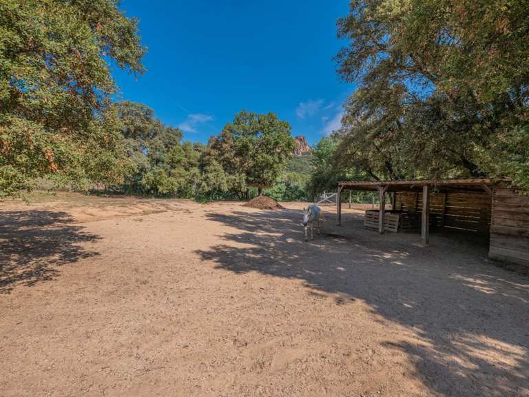 Villa Roquebrune-sur-Argens - 5 chambres - 260m²