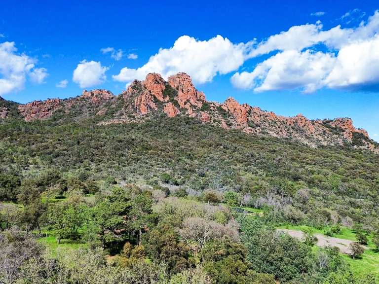 Villa Roquebrune-sur-Argens - 5 bedrooms - 260m²