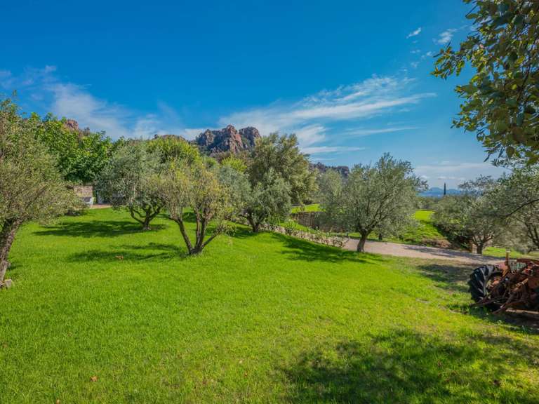 Villa Roquebrune-sur-Argens - 5 chambres - 260m²