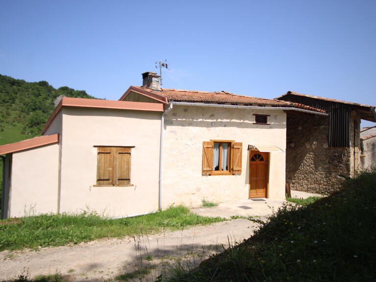 Maison Roquefixade - 5 chambres - 231m²