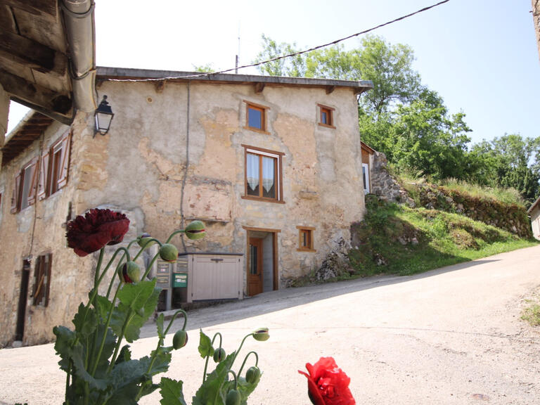 Maison Roquefixade - 5 chambres - 231m²