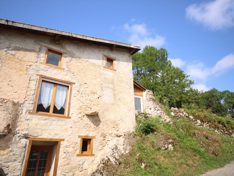 Maison Roquefixade - 5 chambres - 231m²