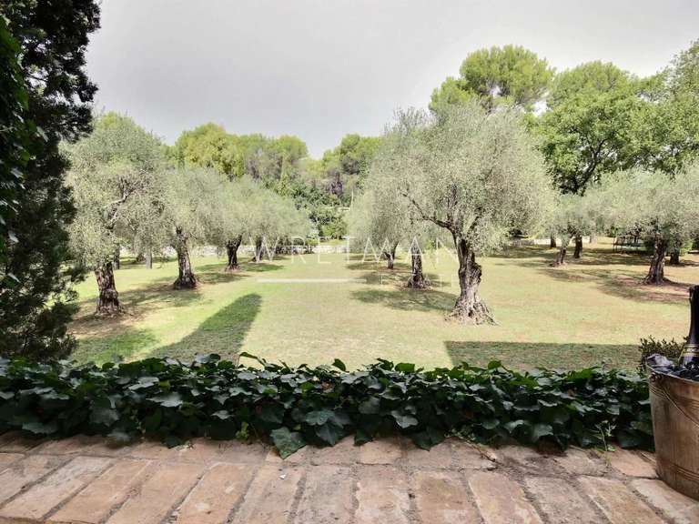 Maison Roquefort-les-Pins - 400m²