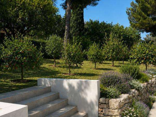 House Roquefort-les-Pins - 3 bedrooms