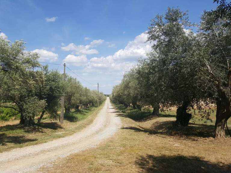 Maison Roubia - 21 chambres - 1200m²