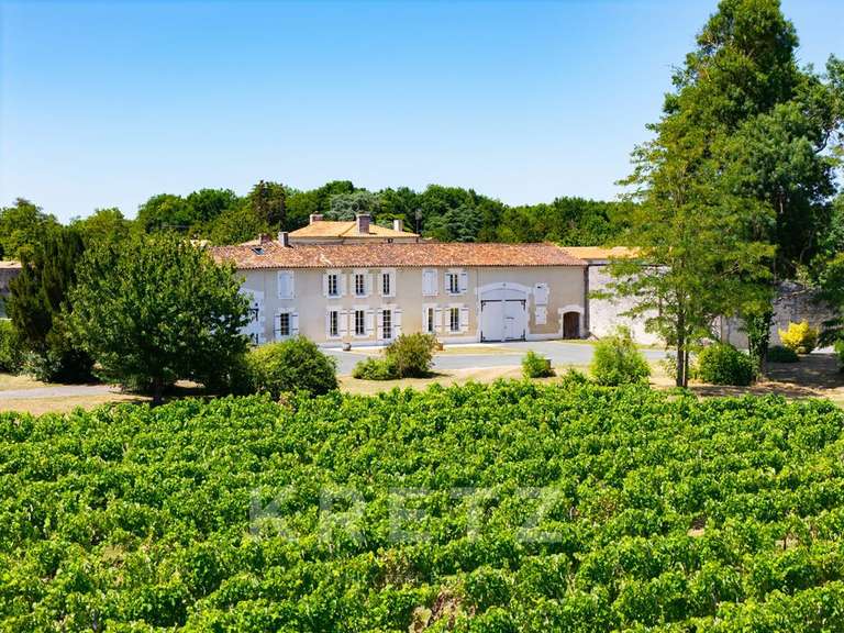 Domaine viticole Rouffiac - 1838m²