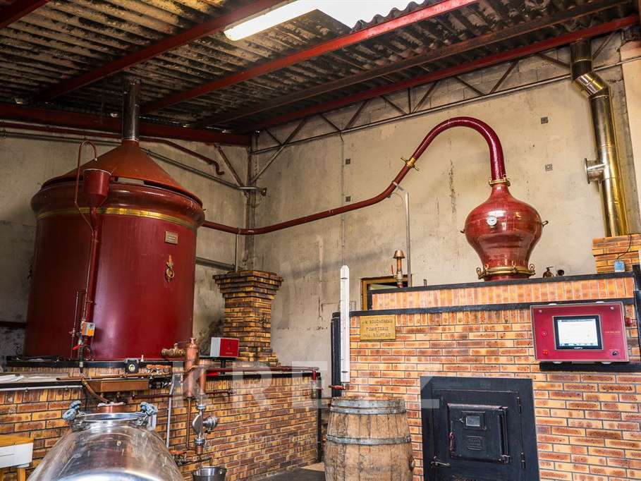 Domaine viticole Rouffiac