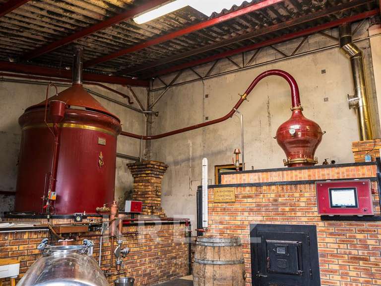 Domaine viticole Rouffiac - 1838m²