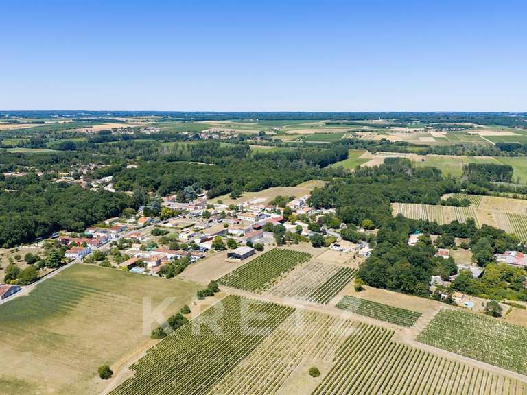 Domaine viticole Rouffiac - 1838m²