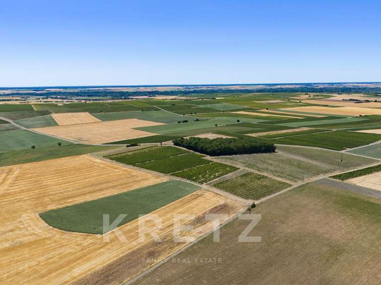 Domaine viticole Rouffiac - 1838m²