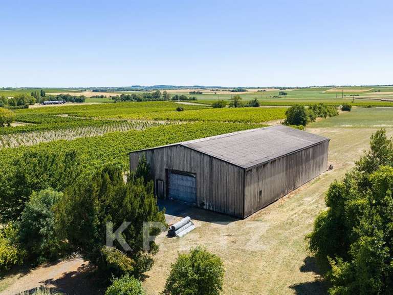 Domaine viticole Rouffiac - 1838m²