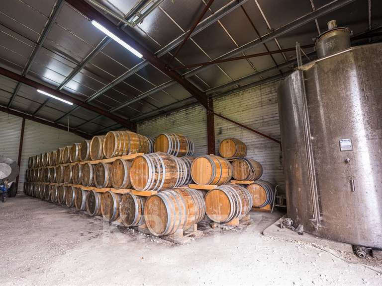 Domaine viticole Rouffiac - 1838m²