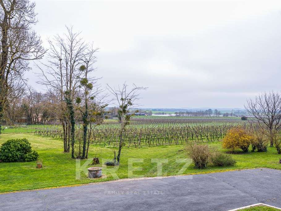 Domaine viticole Rouffiac