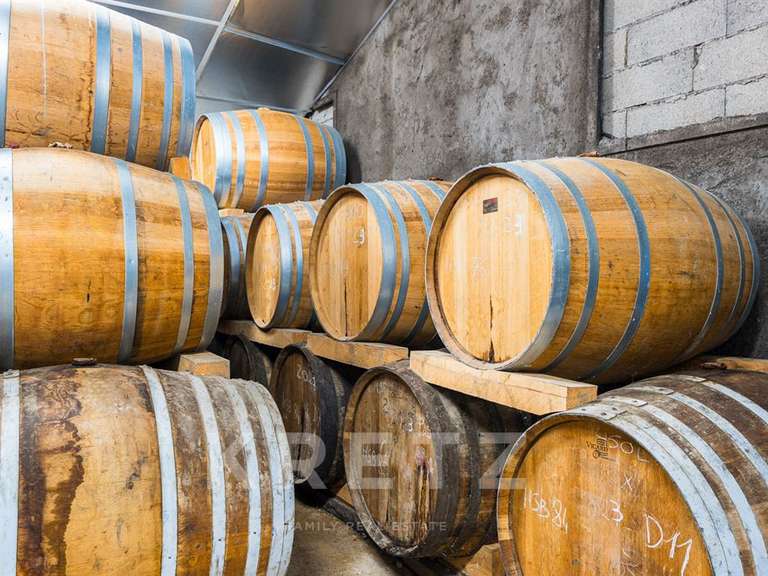 Domaine viticole Rouffiac - 1838m²