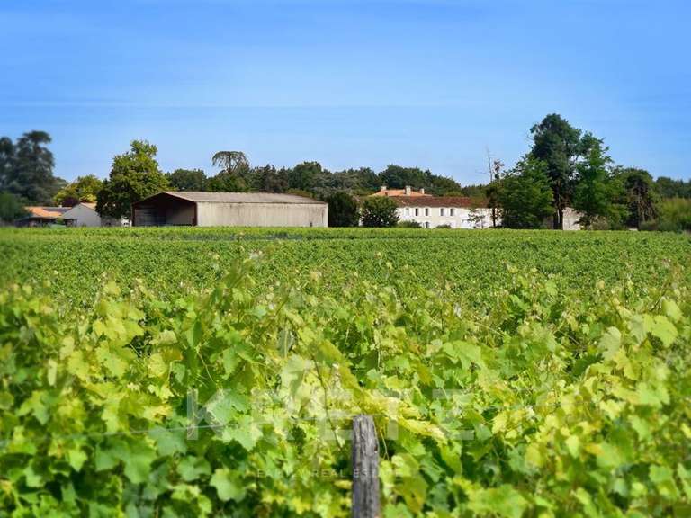 Domaine viticole Rouffiac - 1838m²