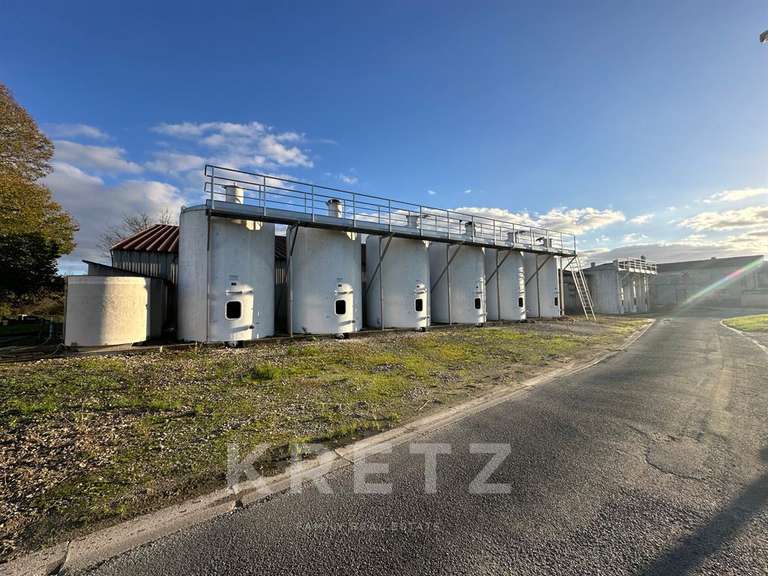 Domaine viticole Rouffiac - 1838m²