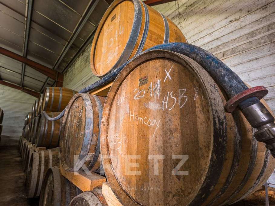 Domaine viticole Rouffiac