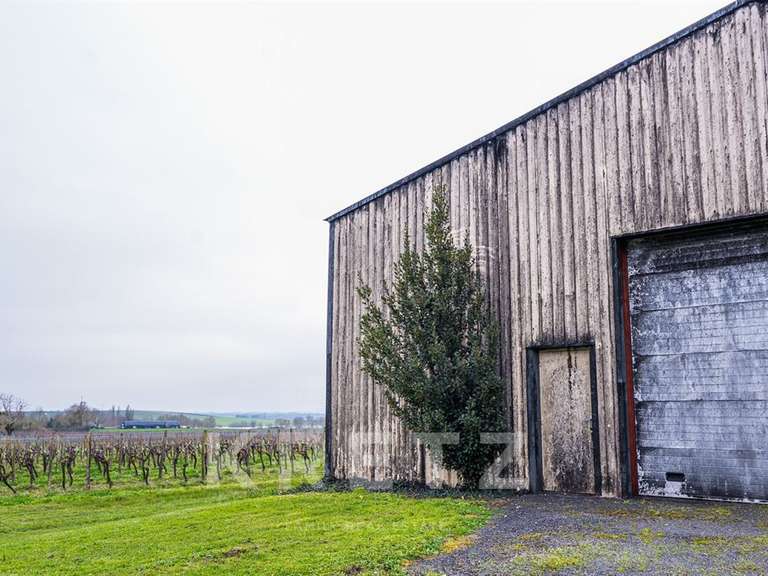 Domaine viticole Rouffiac - 1838m²