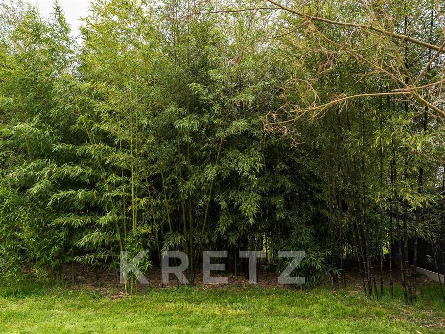 Domaine viticole Rouffiac