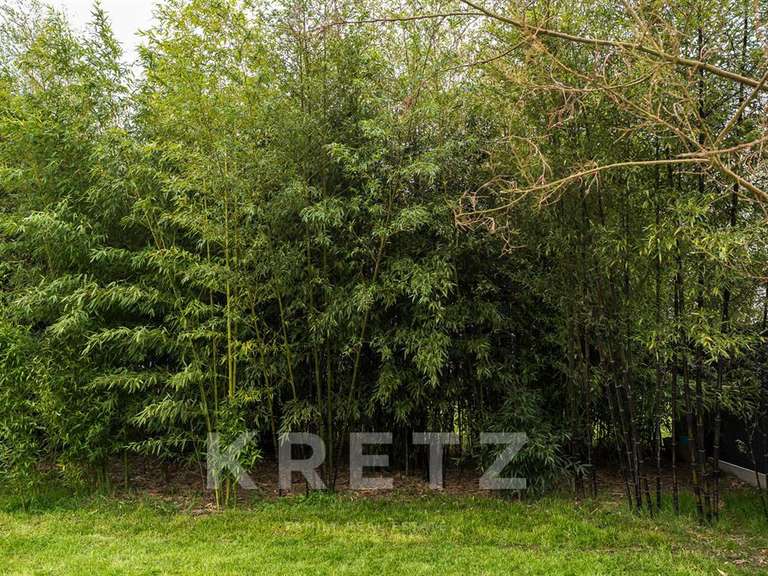 Domaine viticole Rouffiac - 1838m²