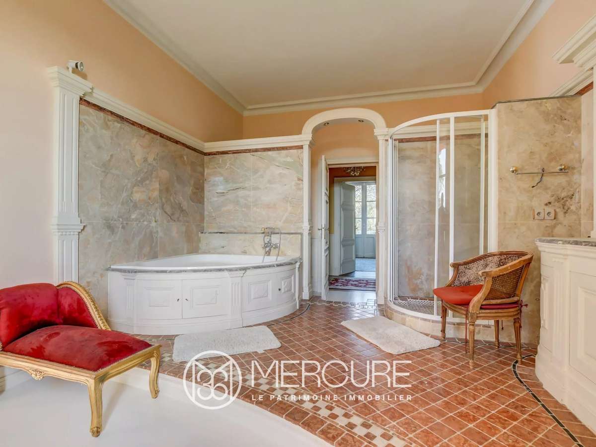 Castle Rouffiac-Tolosan