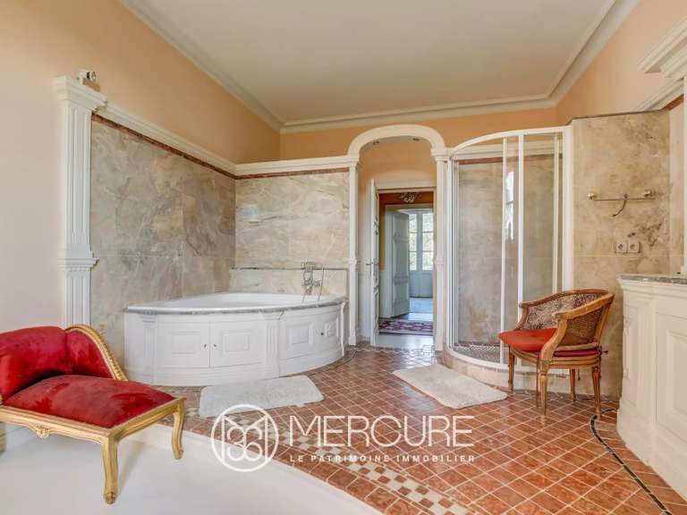 Château Rouffiac-Tolosan - 6 chambres - 501m²