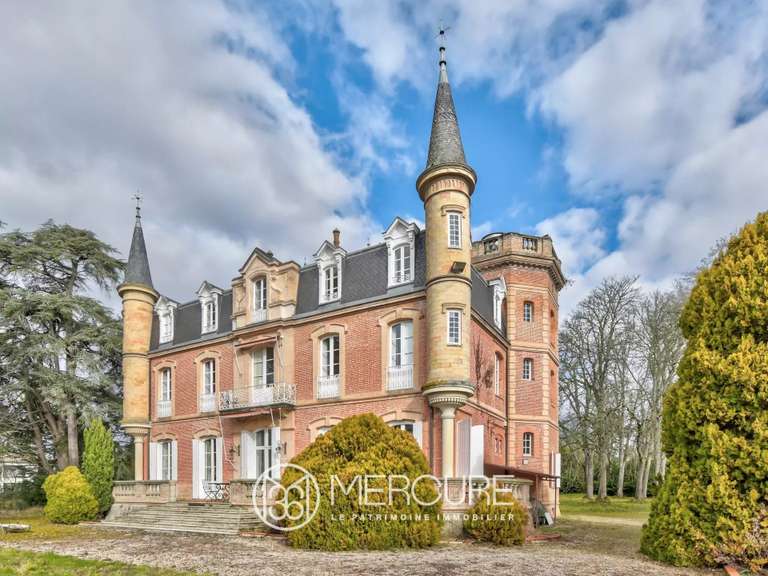 Château Rouffiac-Tolosan - 6 chambres - 501m²