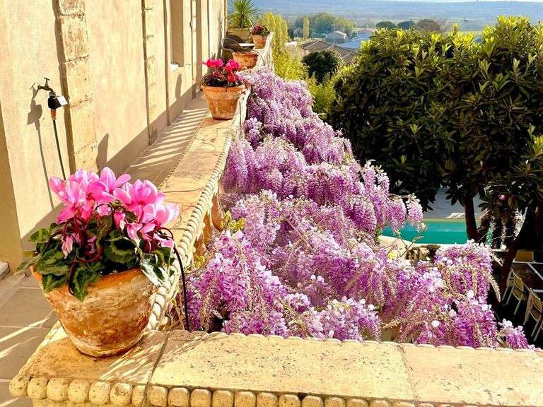 House Roujan - 11 bedrooms - 615m²