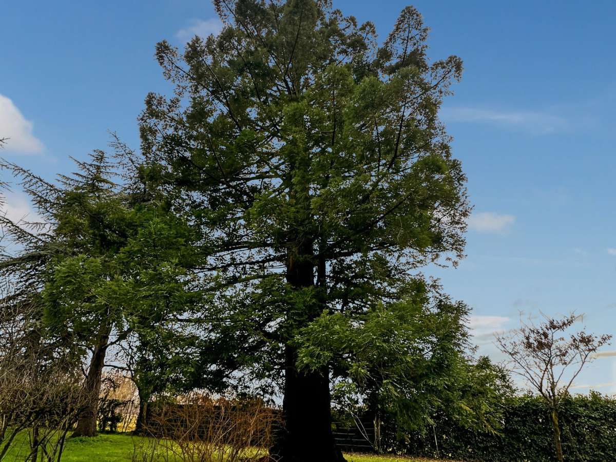 Maison Roullet-Saint-Estèphe