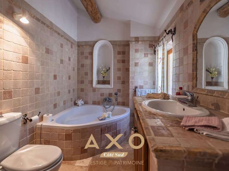 Maison Roumoules - 10 chambres
