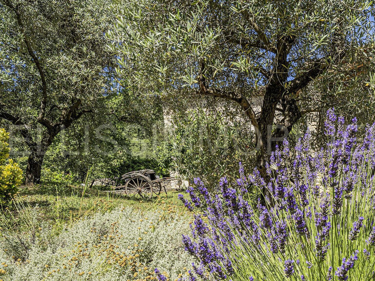 House Roussillon - 4 bedrooms - 355m²