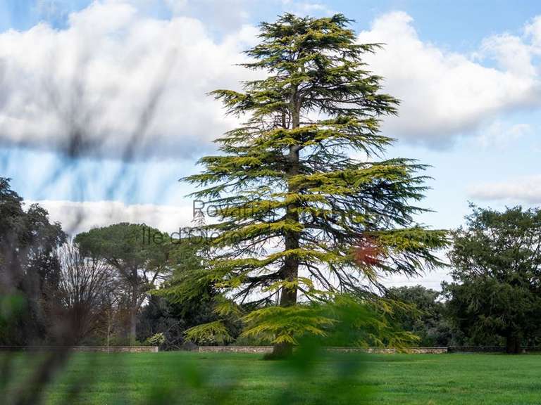 Castle Royan - 11 bedrooms - 980m²