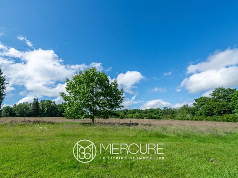 Château Rozoy-sur-Serre - 7 chambres - 680m²