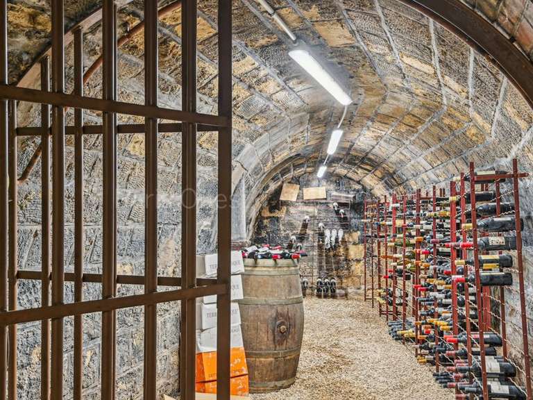 Maison Rueil-Malmaison - 6 chambres - 452m²