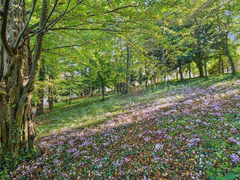 Maison Rueil-Malmaison - 6 chambres - 452m²